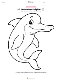 Pink River Dolphin printable worksheet preview