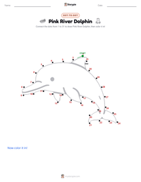 Pink River Dolphin printable worksheet preview