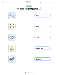 Pink River Dolphin printable worksheet preview