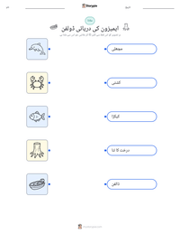 ایمیزون کی دریائی ڈولفن پرنٹ کرنے کے قابل ورکشیٹ کا پیش نظارہ