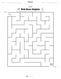Pink River Dolphin printable worksheet preview