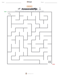 Amazonedolfijn afdrukbare werkblad voorbeeld
