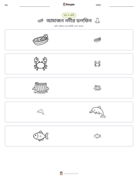 আমাজন নদীর ডলফিন মুদ্রণযোগ্য কাজের পৃষ্ঠার প্রিভিউ