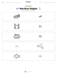 Pink River Dolphin printable worksheet preview