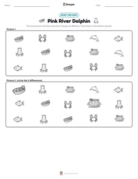 Pink River Dolphin printable worksheet preview