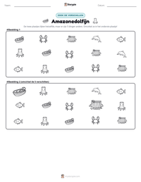 Amazonedolfijn afdrukbare werkblad voorbeeld