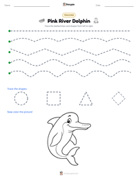 Pink River Dolphin printable worksheet preview