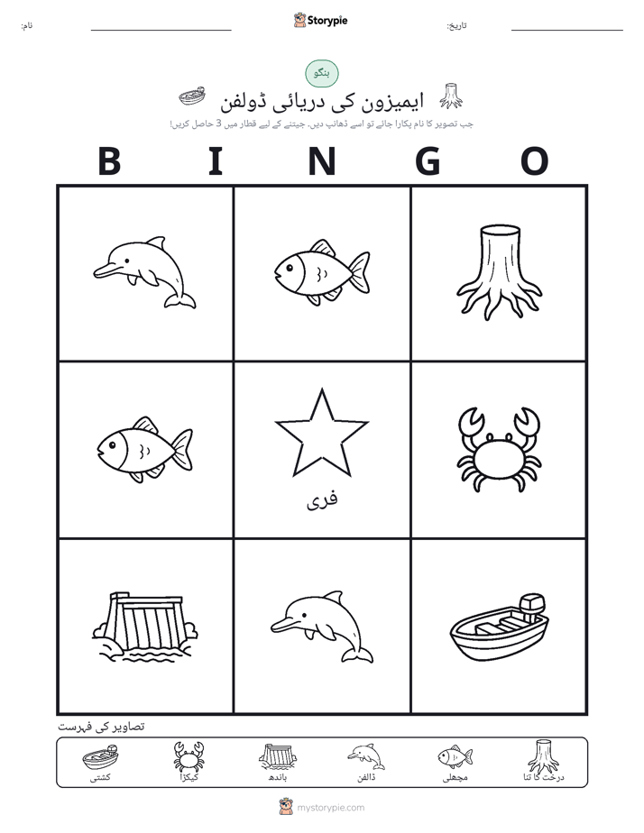 تصویری بنگو