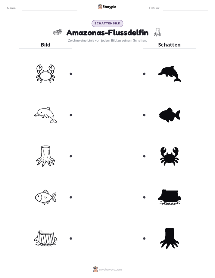Schattenmatch
