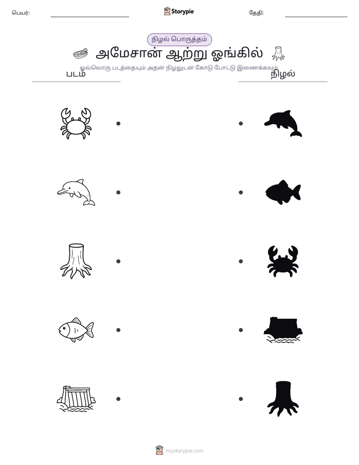 நிழல் பொருத்தம்