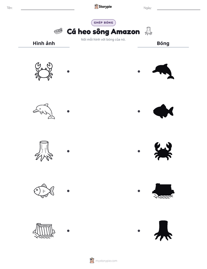 Ghép Hình Bóng