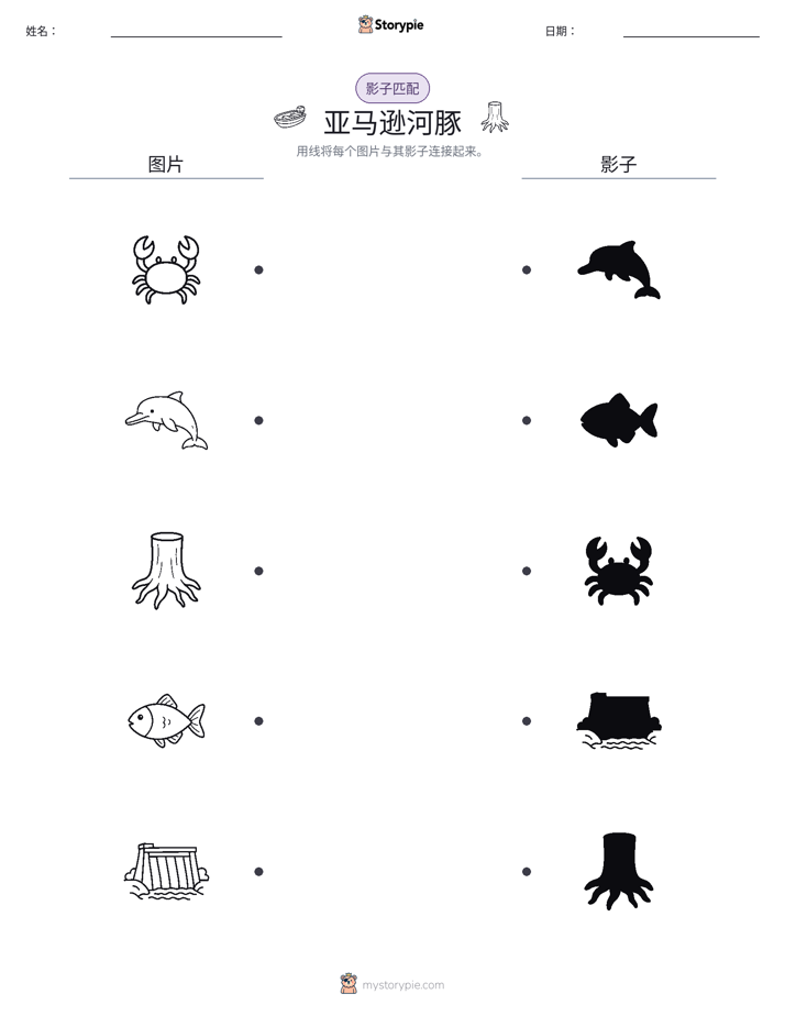 影子匹配