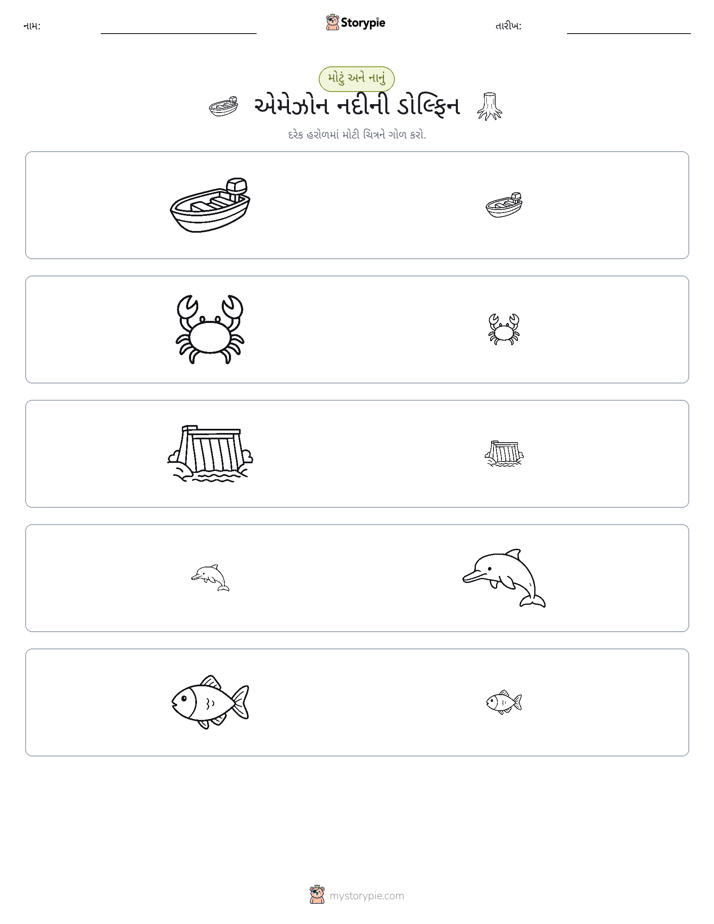 વર્ગીકરણ