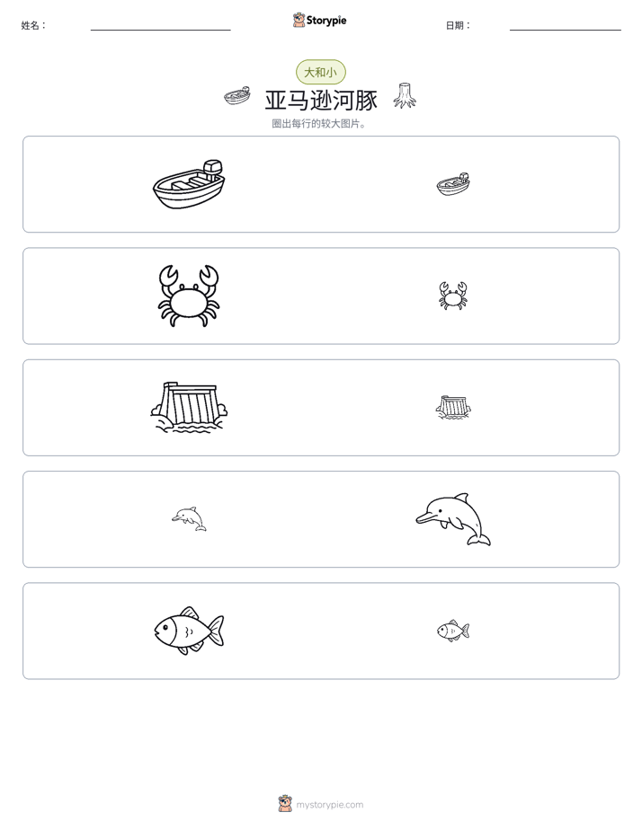 分类