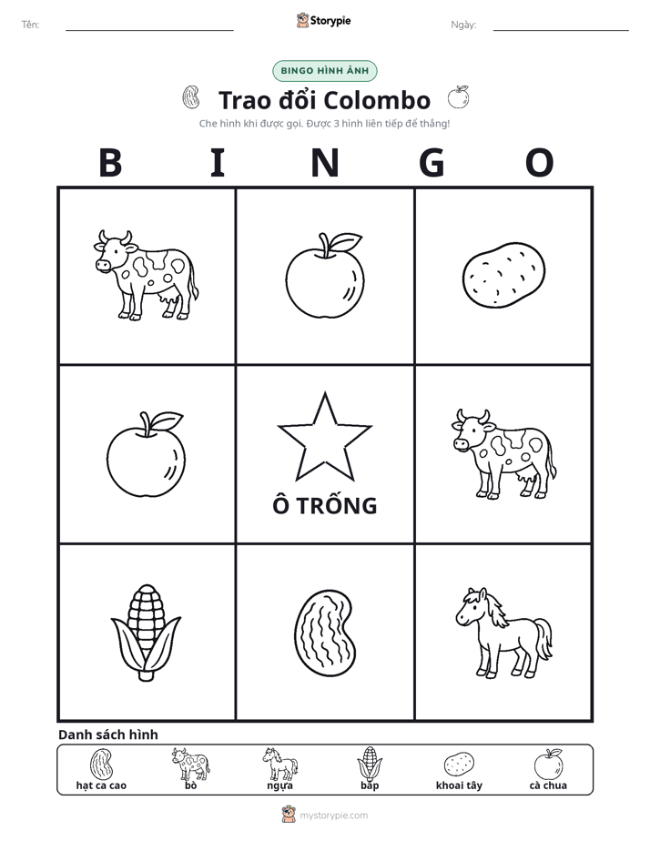 Bingo Hình Ảnh
