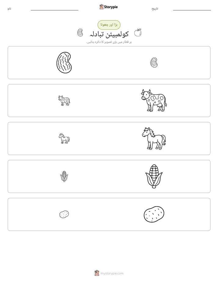 ترتیب دینا