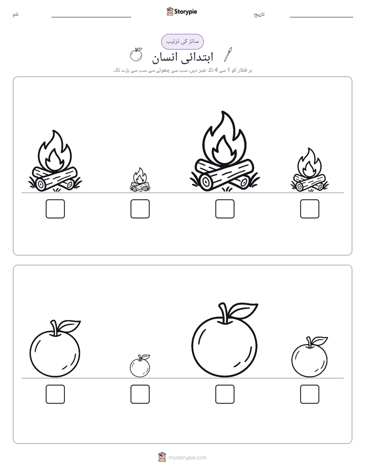سائز کی ترتیب