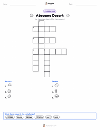Atacama Desert printable worksheet preview