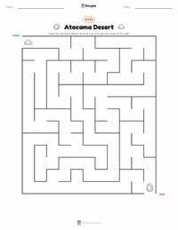 Atacama Desert printable worksheet preview