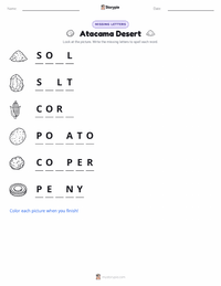 Atacama Desert printable worksheet preview
