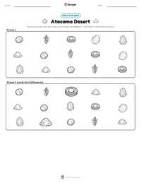 Atacama Desert printable worksheet preview