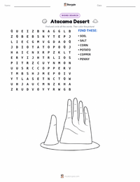 Atacama Desert printable worksheet preview