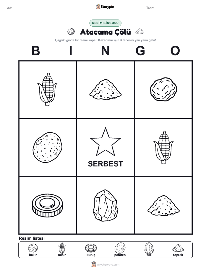 Resim Bingo