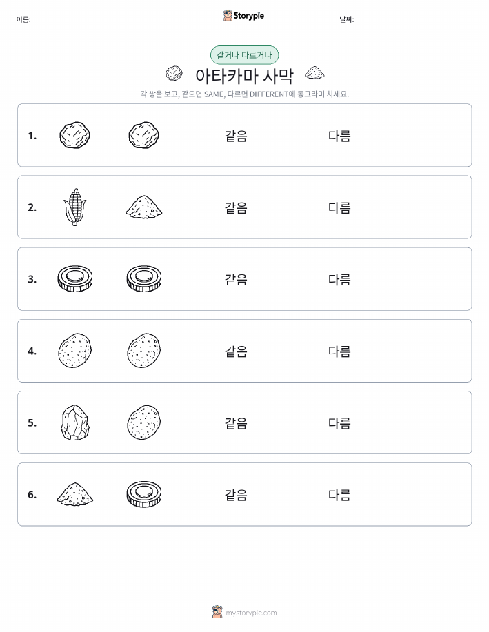 같은 것 또는 다른 것