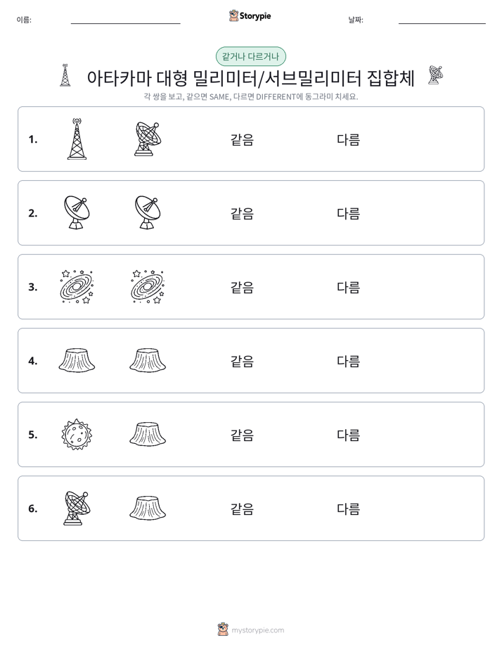 같은 것 또는 다른 것