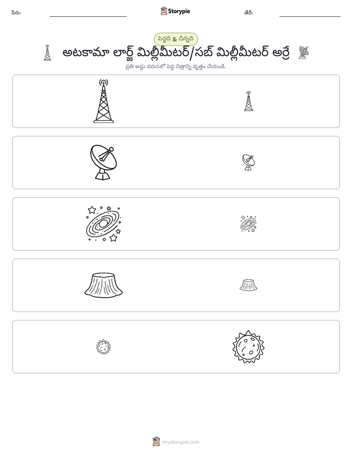 వర్గీకరణ
