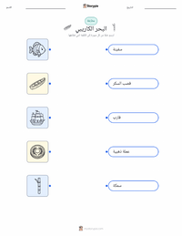 ورقة عمل قابلة للطباعة البحر الكاريبي للأطفال