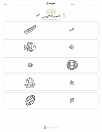معاينة ورقة العمل القابلة للطباعة البحر الكاريبي