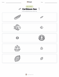 Caribbean Sea printable worksheet preview