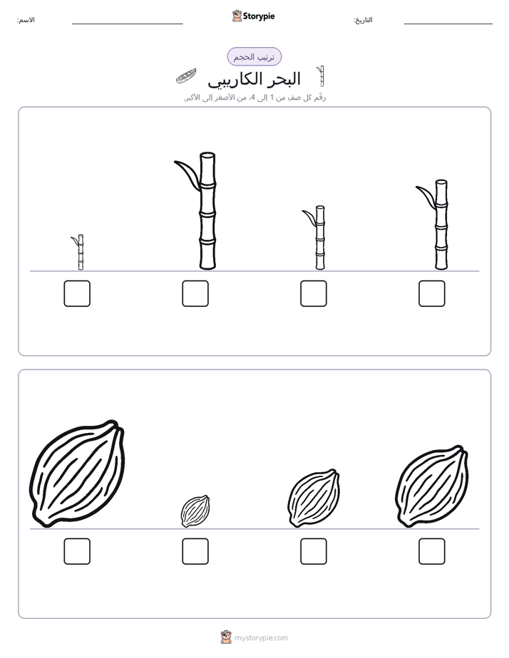 ترتيب الحجم