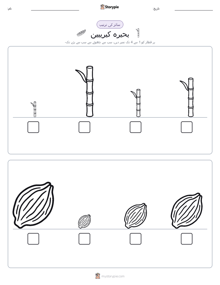 سائز کی ترتیب