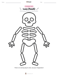 Lucy (fossil) printable worksheet preview