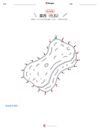 露西（化石） 可打印工作表预览