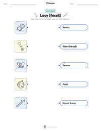 Lucy (fossil) printable worksheet preview