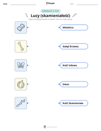 Podgląd drukowalnego arkusza ćwiczeń Lucy (skamieniałość)