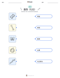 露西（化石） 可打印工作表预览