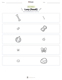 Lucy (fossil) printable worksheet preview