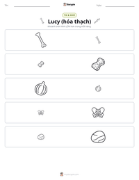 Xem trước tài liệu in sẵn Lucy (hóa thạch)