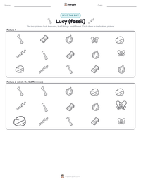 Lucy (fossil) printable worksheet preview