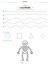 Lucy (fossil) printable worksheet preview