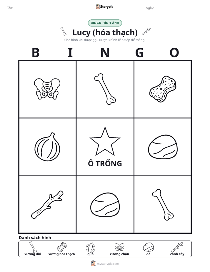 Bingo Hình Ảnh