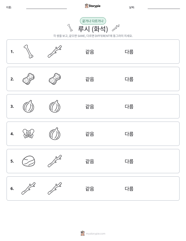 같은 것 또는 다른 것