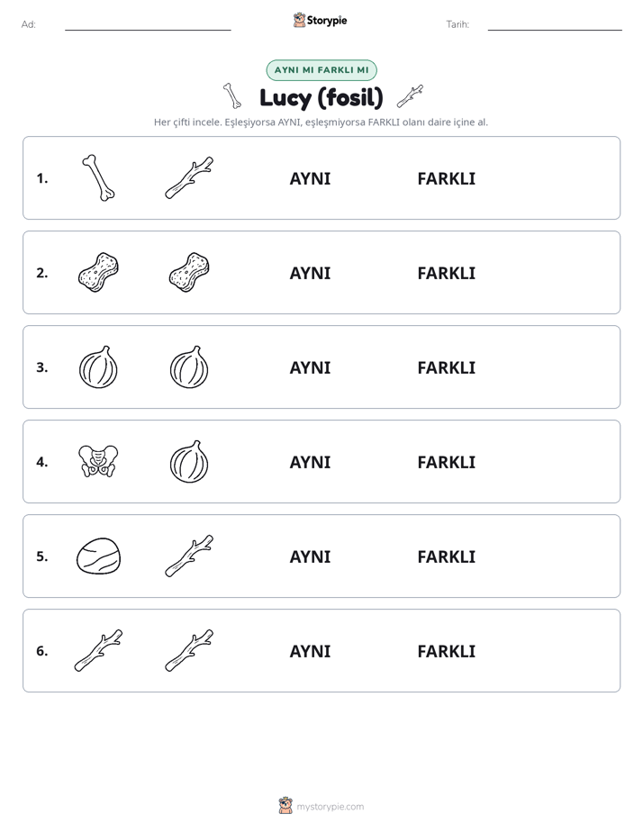Aynı mı Farklı mı