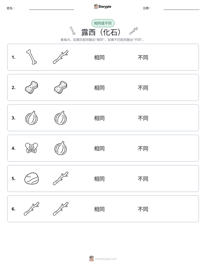 相同或不同