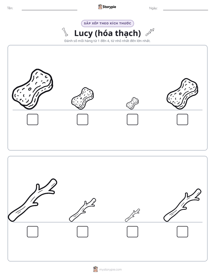 Thứ Tự Kích Thước