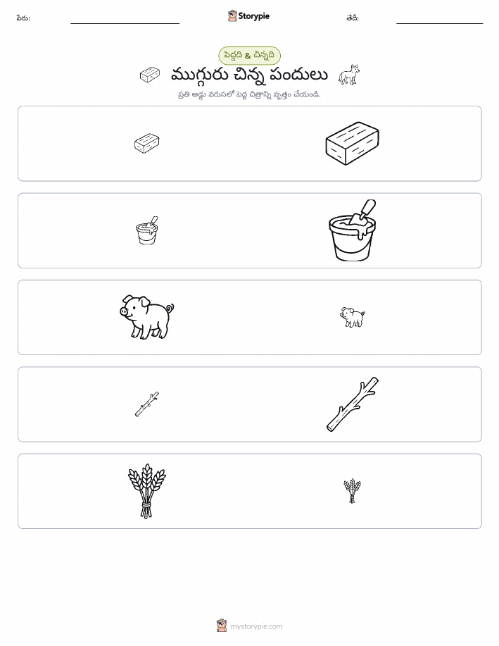 వర్గీకరణ